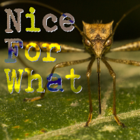 Nice For What - Instrumental W/ Backing Vocals cover